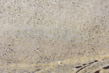Real nature texture great for background