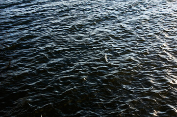 Waves reflect with light in water