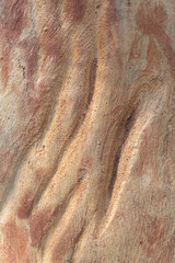 Real rough textures from nature great for background