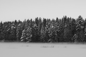 Beautiful winter landscape nature snow forrest scene at outdoor backgrounds