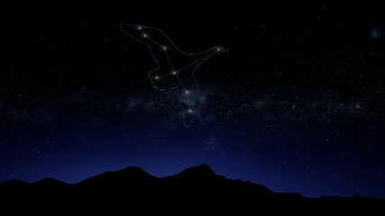 Cygnus Constellation in outer space. Cygnus constellation stars with constellation lines.