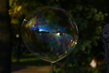 soap bubbles in the park
