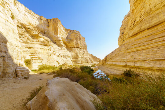 Ein Avdat National Park Canyon, oasis in the Negev Desert