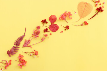 Top view image of autumn forest natural composition over yellow background .Flat lay