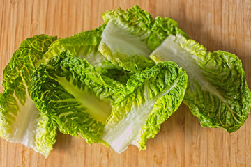 green salad lettuce leafs ready for meal cooking