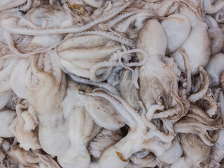 In a farmer's market, a variety of seafood are stacked and sold, including crabs, conch, sea shrimp, skin shrimp, clams, river crabs, mirror fish and so on.