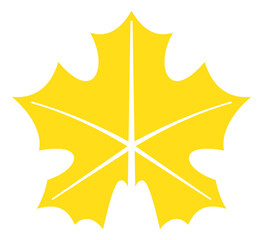 Maple leaf icon. Yellow autumn symbol. Fall season logo