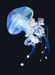 Mushroom jellyfish pictures, poisonous tentakel, art.illustration, vector