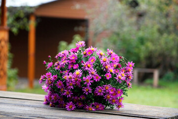 Bouquet of garden flowers on a wooden table