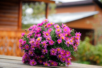 Bouquet of garden flowers on a wooden table