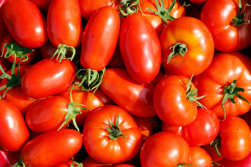 Top view of delicious tomatoes. Vegetable market concept