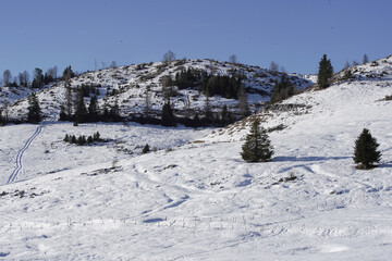 Paesaggio di montagna in inverno con la neve