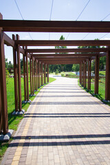 wooden arch in the park on a summer sunny day. Alley.