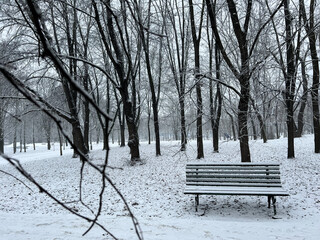 Fresh city snow in city park, winter