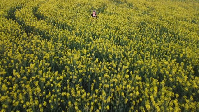  Video drone of a happy woman with curly blonde hair goes through the rapeseed field. Fields, agriculture and flowers in spring summer.