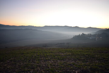 Nebbia in collina in oltrepò pavese