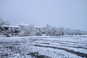 Obraz premium 丹波篠山 雪の篠山城跡 三の丸広場 1月