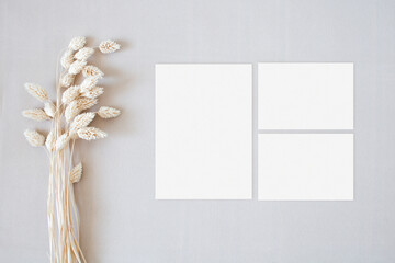 Wedding suite mockup with dry grass on the beige background