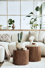 Stylish composition of living room with design beige sofa, wooden stool, cacti, plants, book, decoration, furniture and elegant personal accessories. Modern home decor. Open space. Template.
