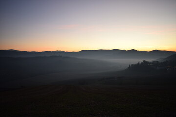 Nebbia in collina in oltrepò pavese