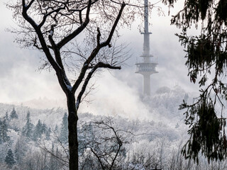 Fototapeta na wymiar Hinter kahlen Bäumen ragt der Bielefelder Fernsehturm dramatisch aus dem Nebel einer Winterlandschaft heraus
