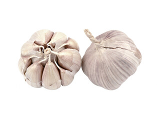 Fototapeta premium garlic,allium sativum isolated on white background
