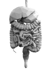 Fototapeta 3d rendered illustration of an abstract digestive system obraz