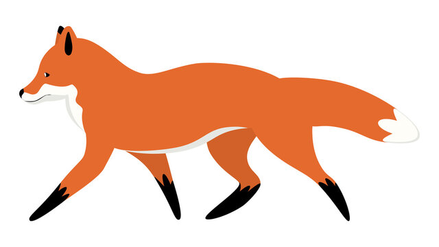 Cartoon red fox