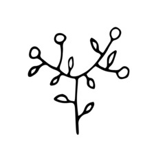 Hand-drawn abstract herb. Simple vector illustration of plants in doodle style.	