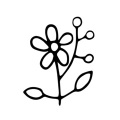 Hand-drawn line abstract flower. Simple vector illustration of plants in doodle style.