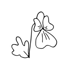 Hand-drawn line wilde violet. Simple vector illustration of doodle style flower