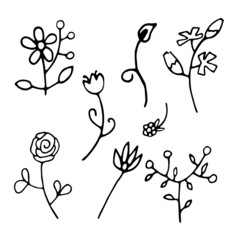 Set of abstract wild flowers. Vector hand-drawn linear field plants.