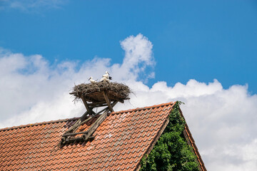 Eine Storchenfamilie in einem Storchennest auf dem roten Ziegeldach eines Hauses