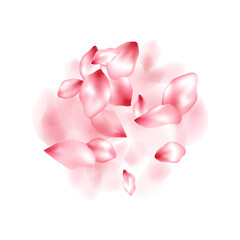 Fototapeta premium Pink sakura flower flying petals isolated on white vector background.
