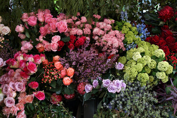A colorful display of various plants and flowers in a local florist.
