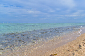 Sandy wild beach of the Red Sea.