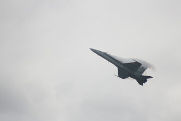 F/A 18 Hornet Swiss air force