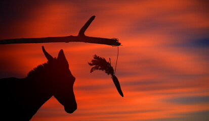 Carrot Stick Theory Concept With Donkey Silhouette. Sunset. The Carrot sign of a reward for moving...