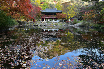 On October 31, 2020, the autumn scenery of Ssanggyeru Pavilion in Baekyangsa Temple, Jangseong-gun, Jeollanam-do, Korea.