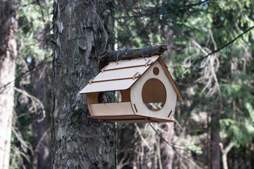 Wooden bird feeder birdhouse on a tree in the forest. Birdhouse close-up.