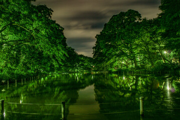 井の頭公園の夜景