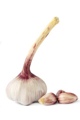 Young garlic on a white background.