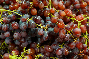 big bunch grapes close up