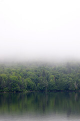heavy fog in forest with still water with copy space