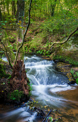 Obraz premium Karlstal gorge near Trippstadt in the Palatinate Forest, long exposure of the Moosalb