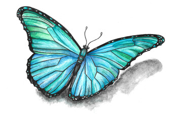 Obraz na płótnie Canvas Hand-drawn watercolor illustration of a blue butterfly with glitter elements. Realism. Idea for entomology books, posters, postcards, etc.
