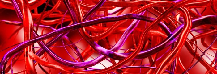 Veins and arteries, blood vessels, circulatory system, abstraction, 3D rendering