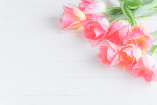 白木目背景のピンクのチューリップの花束