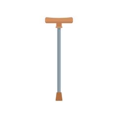 Walking stick icon flat isolated vector