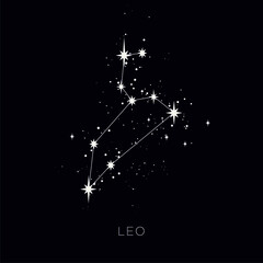 Star constellation zodiac leo vector